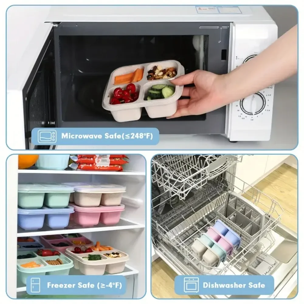 4 Gitter Snack box für Kinder  – Meal Prep Kinder Bewertung und Preis